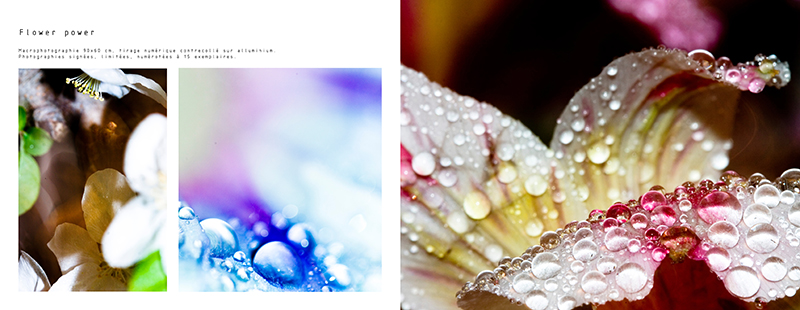 My bookphotoservice2331619